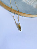 Colar Cavalo-Bicolor