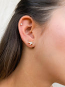 Brinco Estrela Country