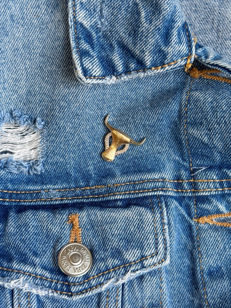Broche- LongHorn