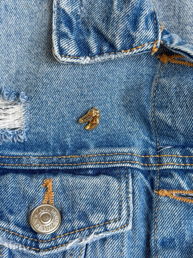 Broche-Cavalo