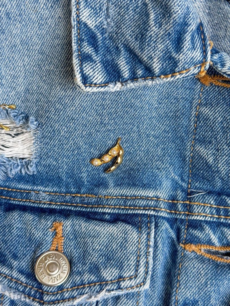 Broche-Soja