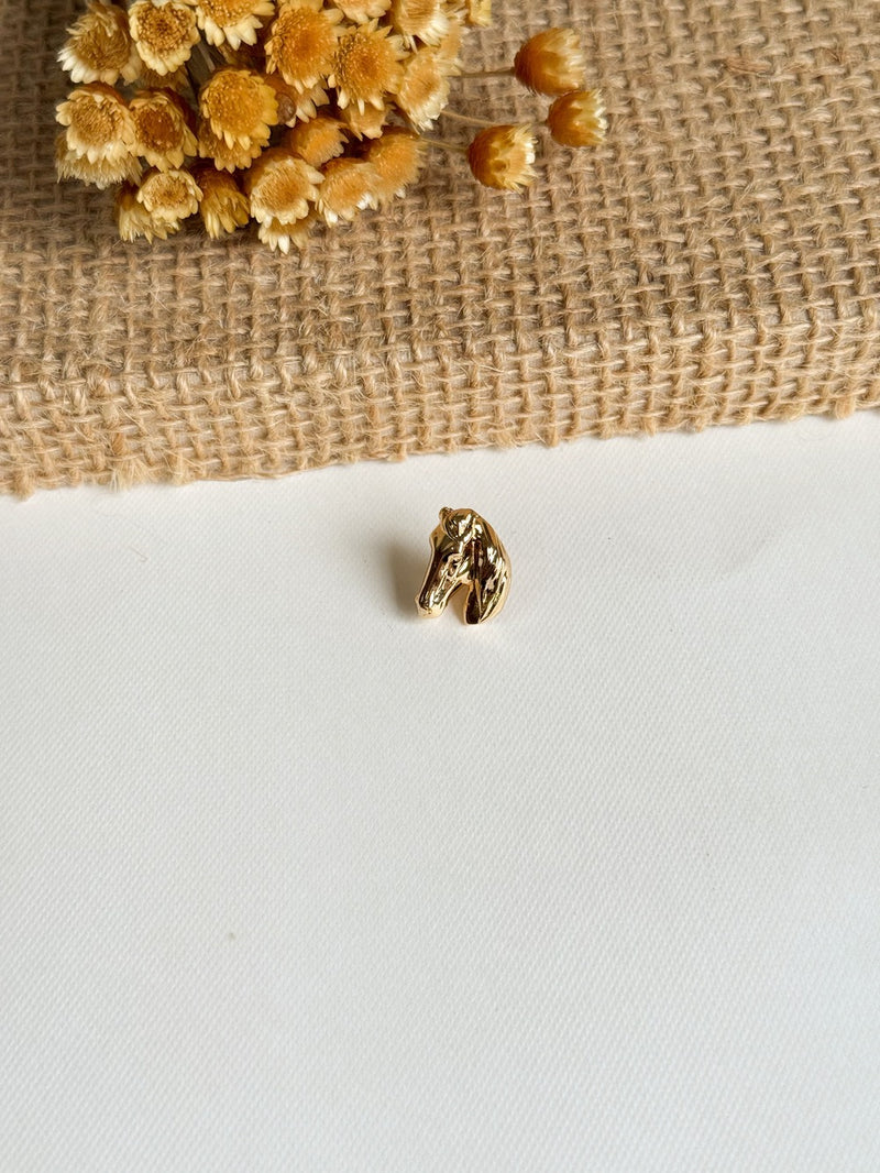 Broche-Cavalo