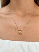 Escapulário do Agro