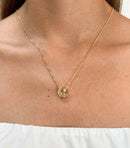 Escapulário do Agro