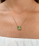 Escapulário do Agro