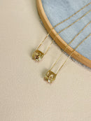 Escapulário do Agro