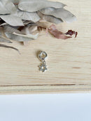 Berloque Agricultura