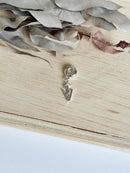 Berloque Medicina Veterinária