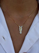 Colar Cavalo-Bicolor